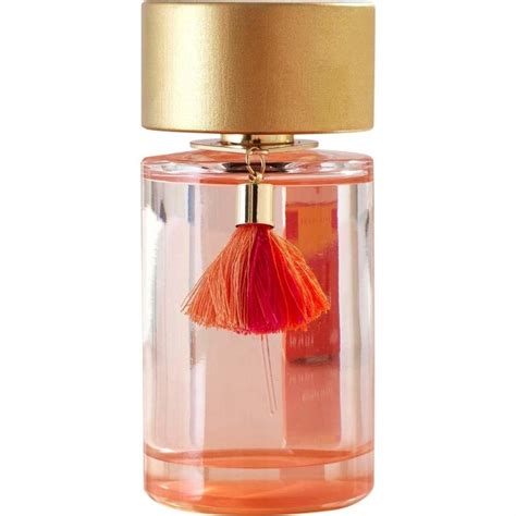 next coral blush perfume dupe|next l'homme dupes.